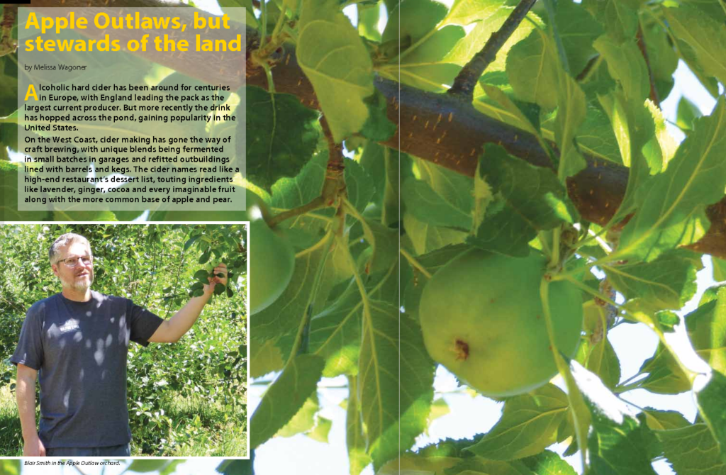 A man is holding an apple on a tree.